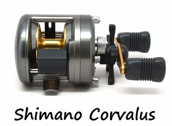 best baitcasting reel under $100 for Musky Shimano Corvalus