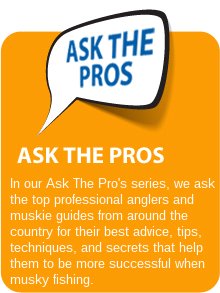 ask the pros