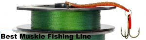 braided muskie fishing line