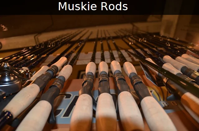 https://tigermuskie.net/wp-content/uploads/2018/07/best-muskie-rods-for-sale-online.png.webp