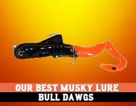 best musky lures for summer - bull dawgs
