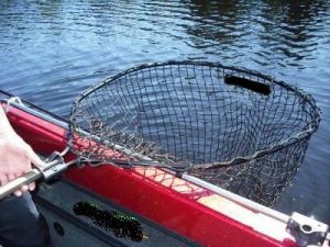 Get the Best Musky Net and Never Lose Your Catch Again!